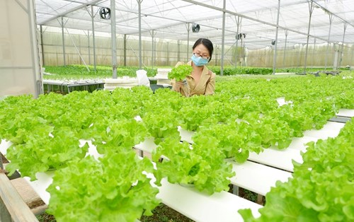Cần thiết đào tạo nguồn nhân lực phục vụ ngành Nông nghiệp ứng dụng công nghệ cao